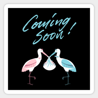 Mother's To Be, New Moms, Baby Announcement Cute, Storks, Coming Soon Design Magnet